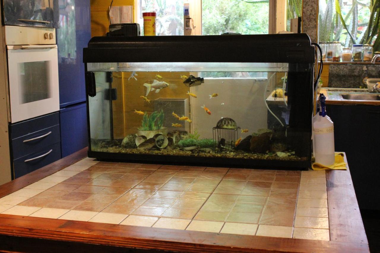 Habitación En Neo Victoriana Con Piscina